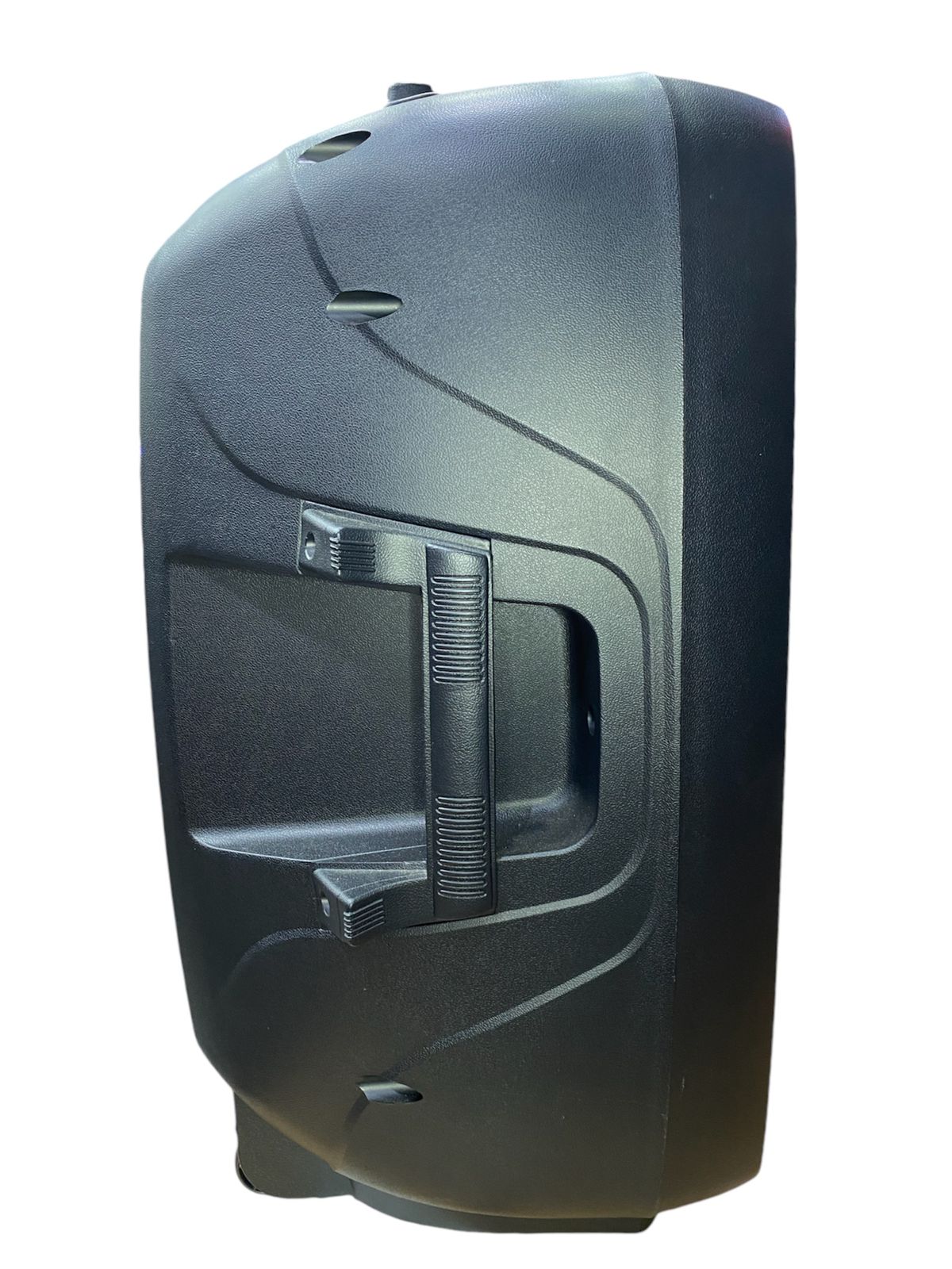 CABINA PASIVA PRO DJ PSA15
